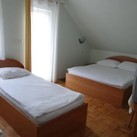 Hochkraut Penzion Celje