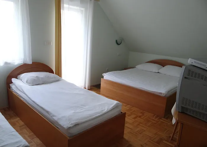 Hochkraut gostionica Celje